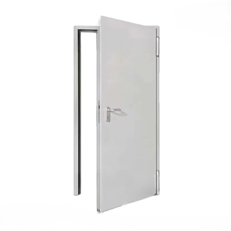 Best Steel Door Designs for Modern Home or Office | MT-SD-0141
